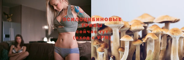 скорость Алексеевка