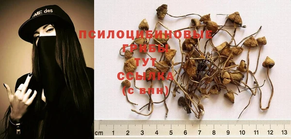 СК Алексин