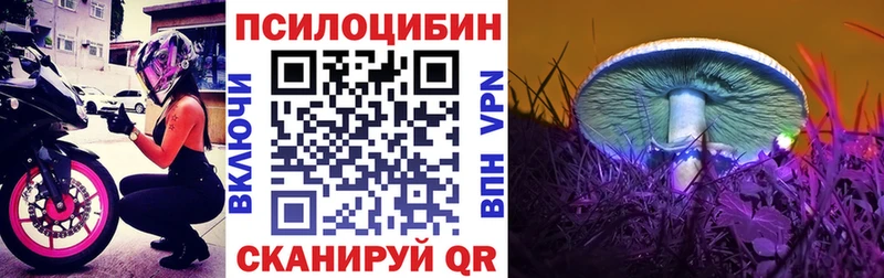 блэк спрут зеркало  Сольвычегодск  Псилоцибиновые грибы мицелий 