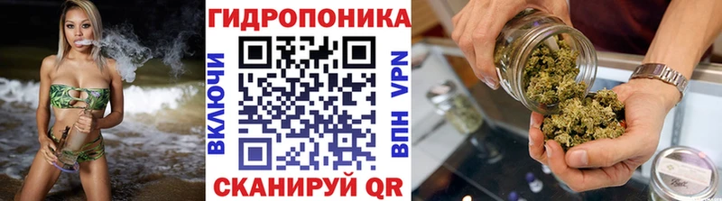 Шишки марихуана Bruce Banner  МЕГА ссылки  Сольвычегодск 